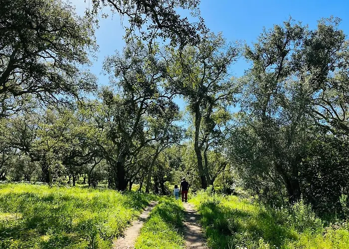 Cabana * سيسيمبرا